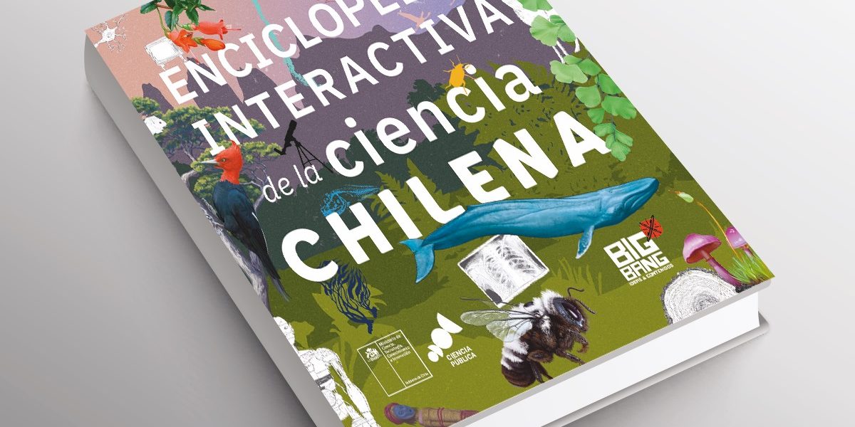 WhatsApp Image 2024-05-30 at 15.22.13